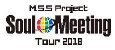 M.S.S Project